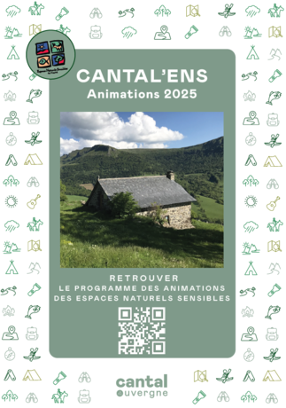 Capture d'écran 2025-04-18 171859