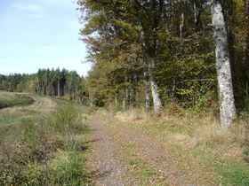 chemin des Asphodèles