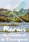 Capture d'écran 2025-04-22 123114