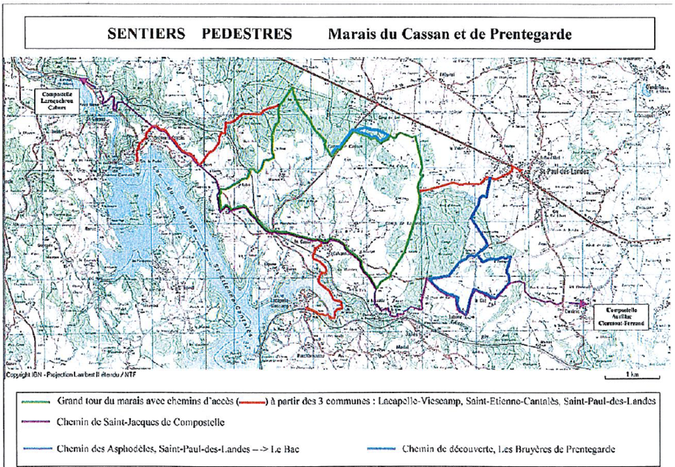 Capture d’écran 2025-04-08 093253