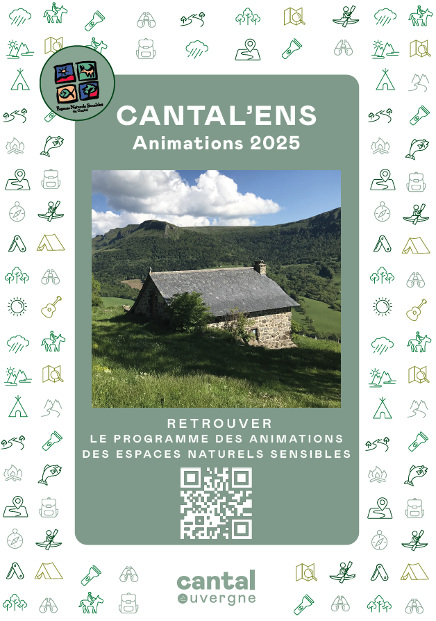 Capture d'écran 2025-04-18 171859